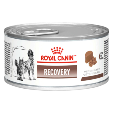 Patê Royal Canin Recovery 195g
