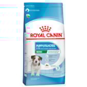 Ração Royal Canin Cães Filhotes Raças Minis 2,5kg