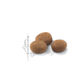 Ração Royal Canin Gatos Sênior +7 Castrados 400g