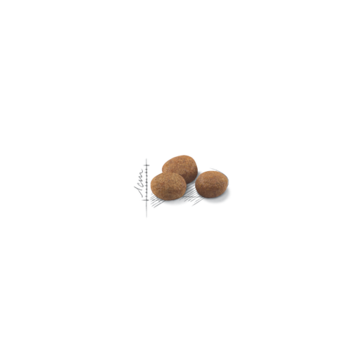 Ração Royal Canin Gatos Sênior +7 Castrados 400g