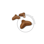 Ração Royal Canin Light Gatos Adultos 400g