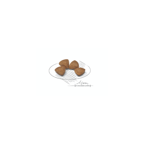 Ração Royal Canin X-small Cães Adultos Raças Minis 1kg
