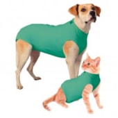 Roupa Club Pet Pós Cirúrgica Verde N1