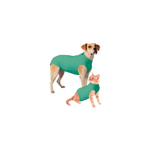 Roupa Club Pet Pós Cirúrgica Verde N1