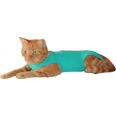 Roupa Club Pet Pós Cirúrgica Verde N4
